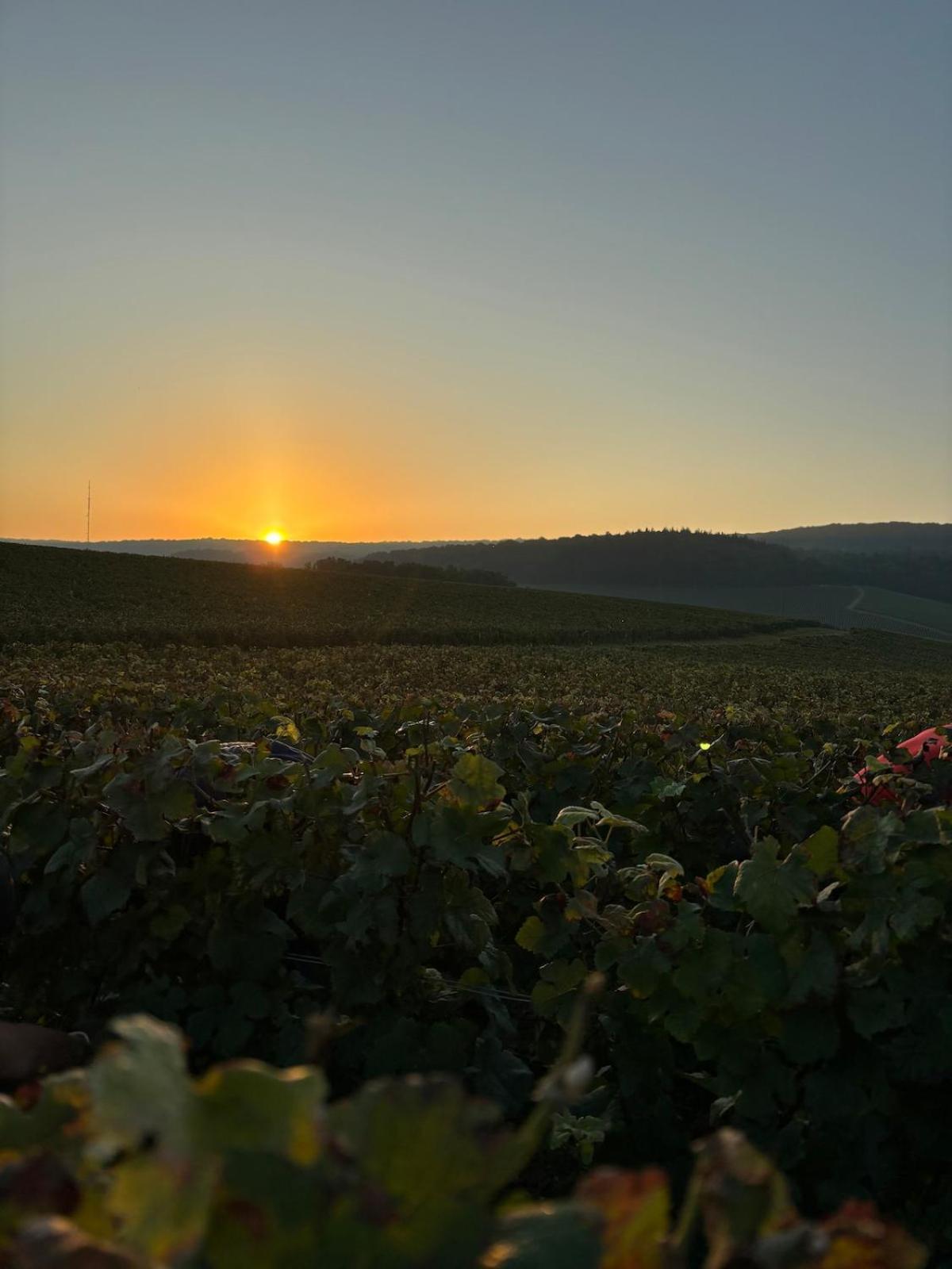 La Galipette, Charmant Chalet En Champagne Fleury-la-Riviere Esterno foto